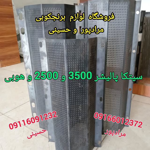 454219850_1194551471861252_6635268925626429384_n