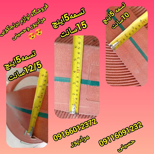 454227200_1554143732173331_5015923328039125293_n